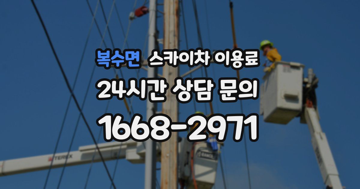 복수면 스카이차 이용료