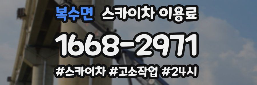 복수면 스카이차 이용료