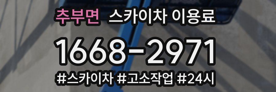 추부면 스카이차 이용료