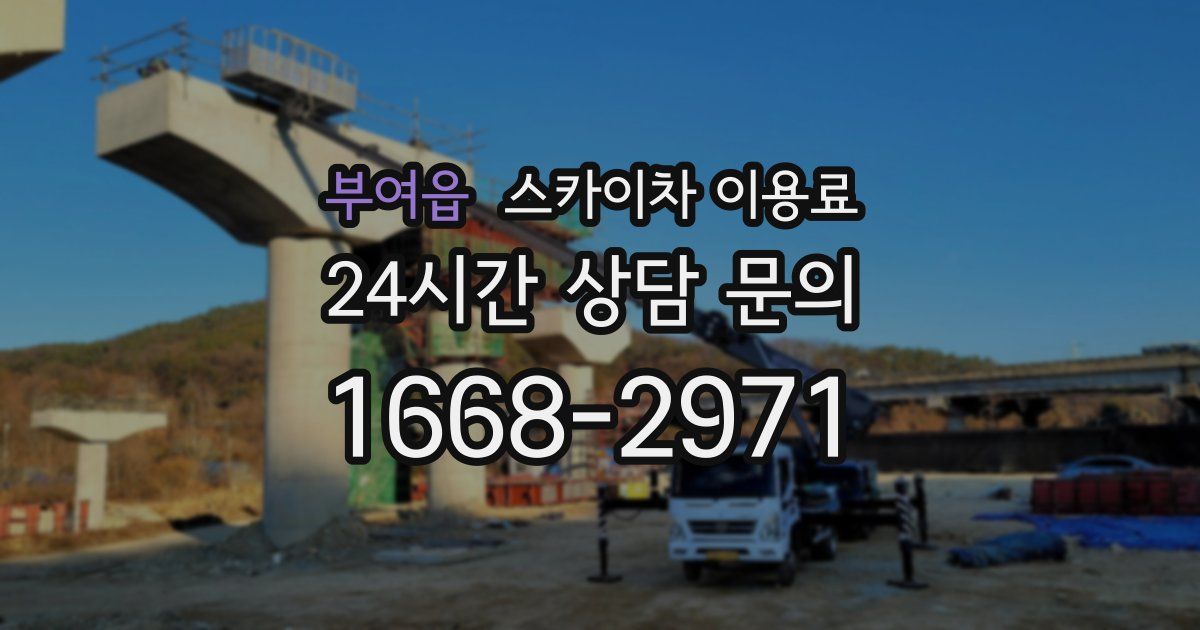부여읍 스카이차 이용료