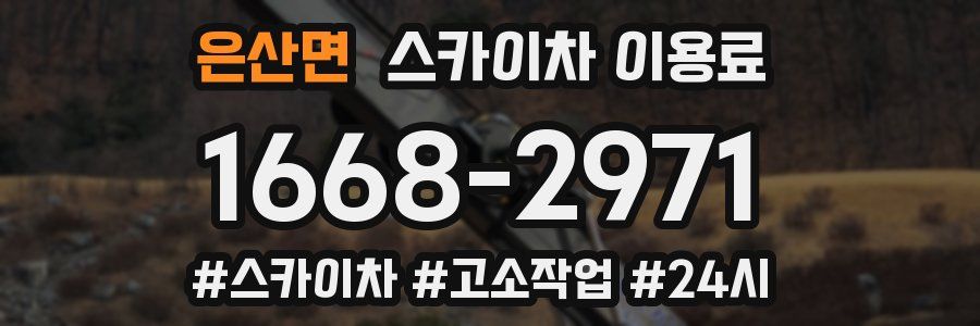은산면 스카이차 이용료