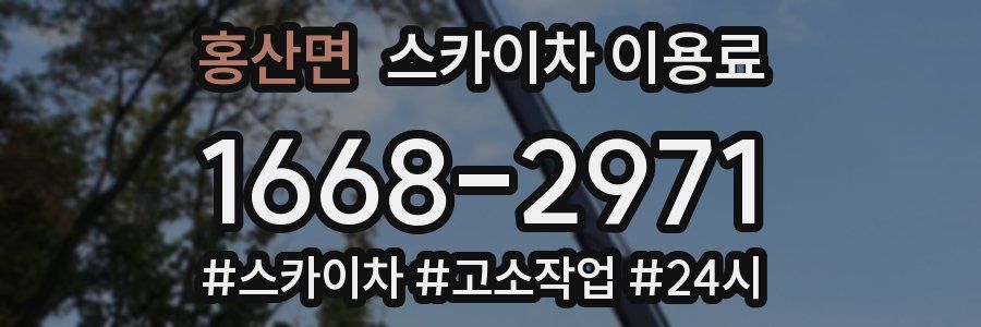 홍산면 스카이차 이용료