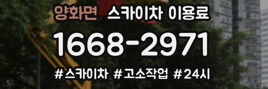 양화면 스카이차 이용료