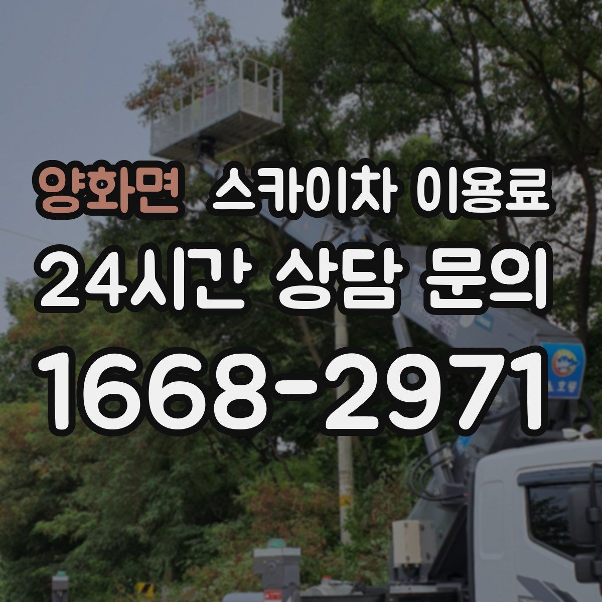 양화면 스카이차 이용료