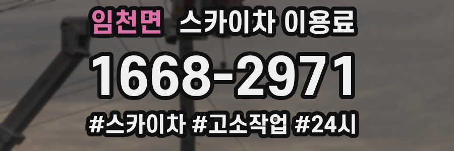 임천면 스카이차 이용료