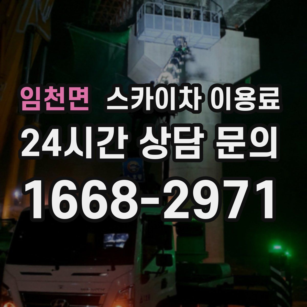임천면 스카이차 이용료