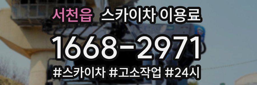 서천읍 스카이차 이용료