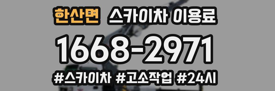 한산면 스카이차 이용료