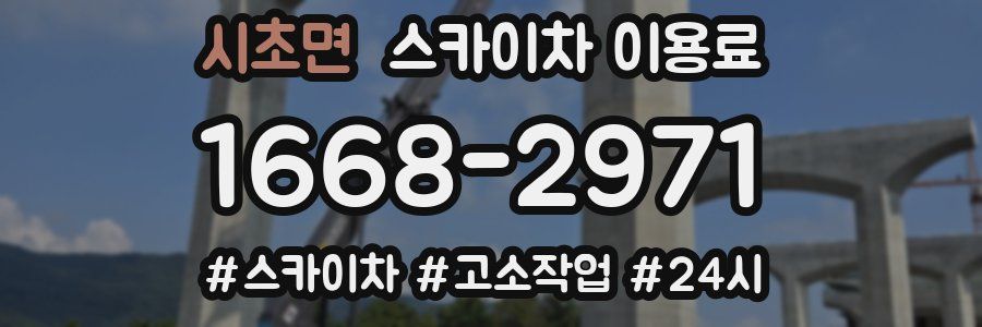 시초면 스카이차 이용료
