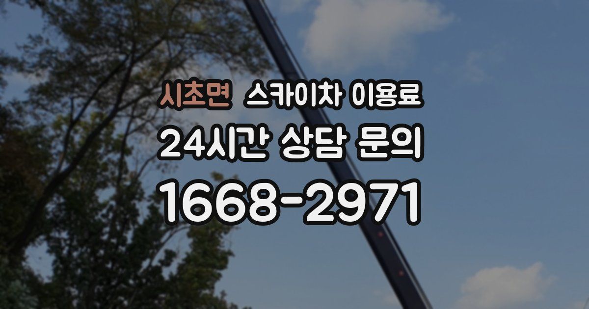 시초면 스카이차 이용료