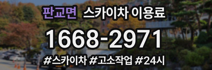판교면 스카이차 이용료