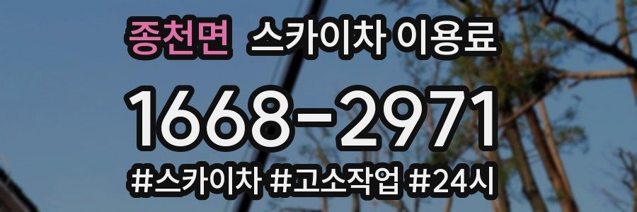 종천면 스카이차 이용료