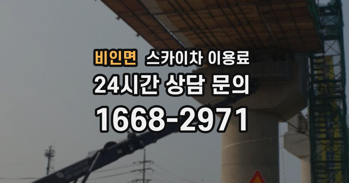 비인면 스카이차 이용료