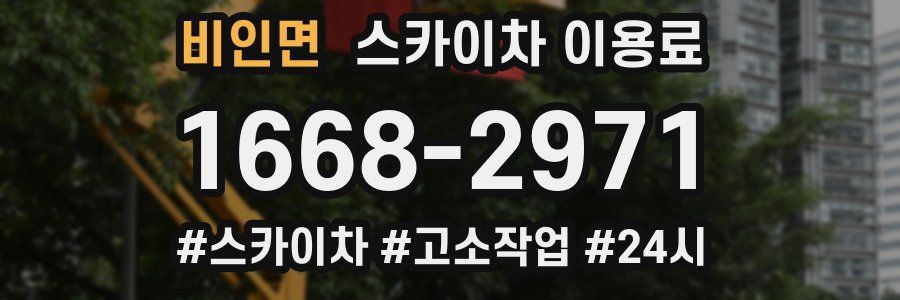 비인면 스카이차 이용료