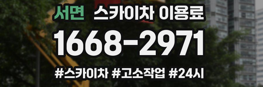 서면 스카이차 이용료