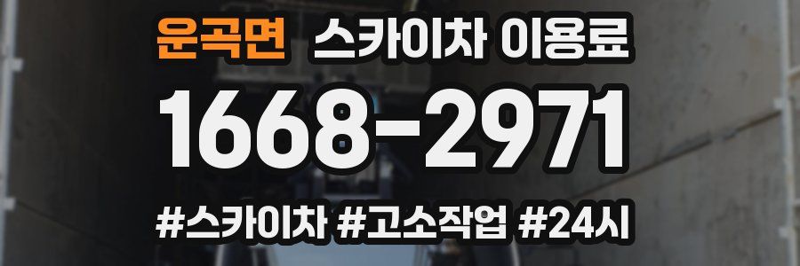운곡면 스카이차 이용료