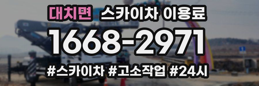 대치면 스카이차 이용료