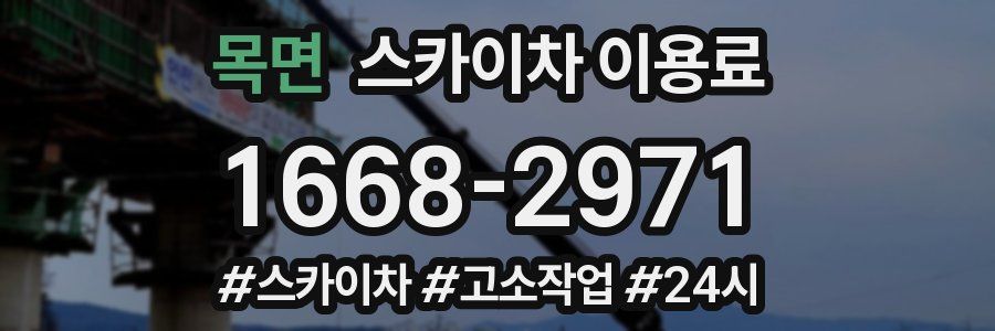 목면 스카이차 이용료