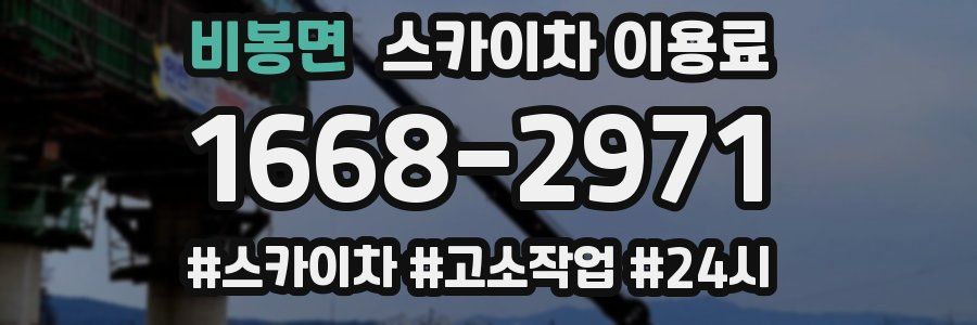 비봉면 스카이차 이용료