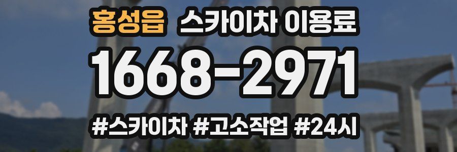 홍성읍 스카이차 이용료