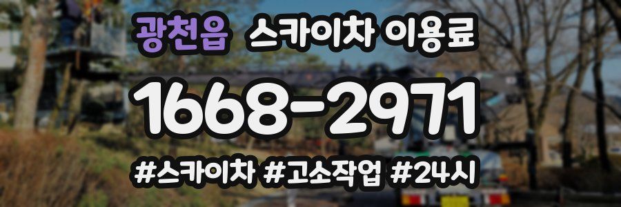 광천읍 스카이차 이용료