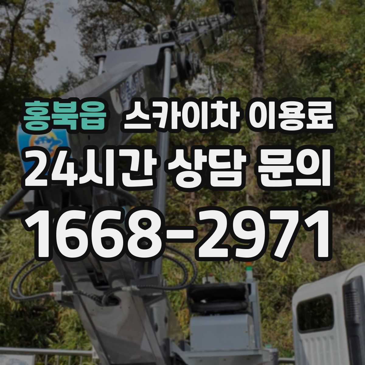 홍북읍 스카이차 이용료