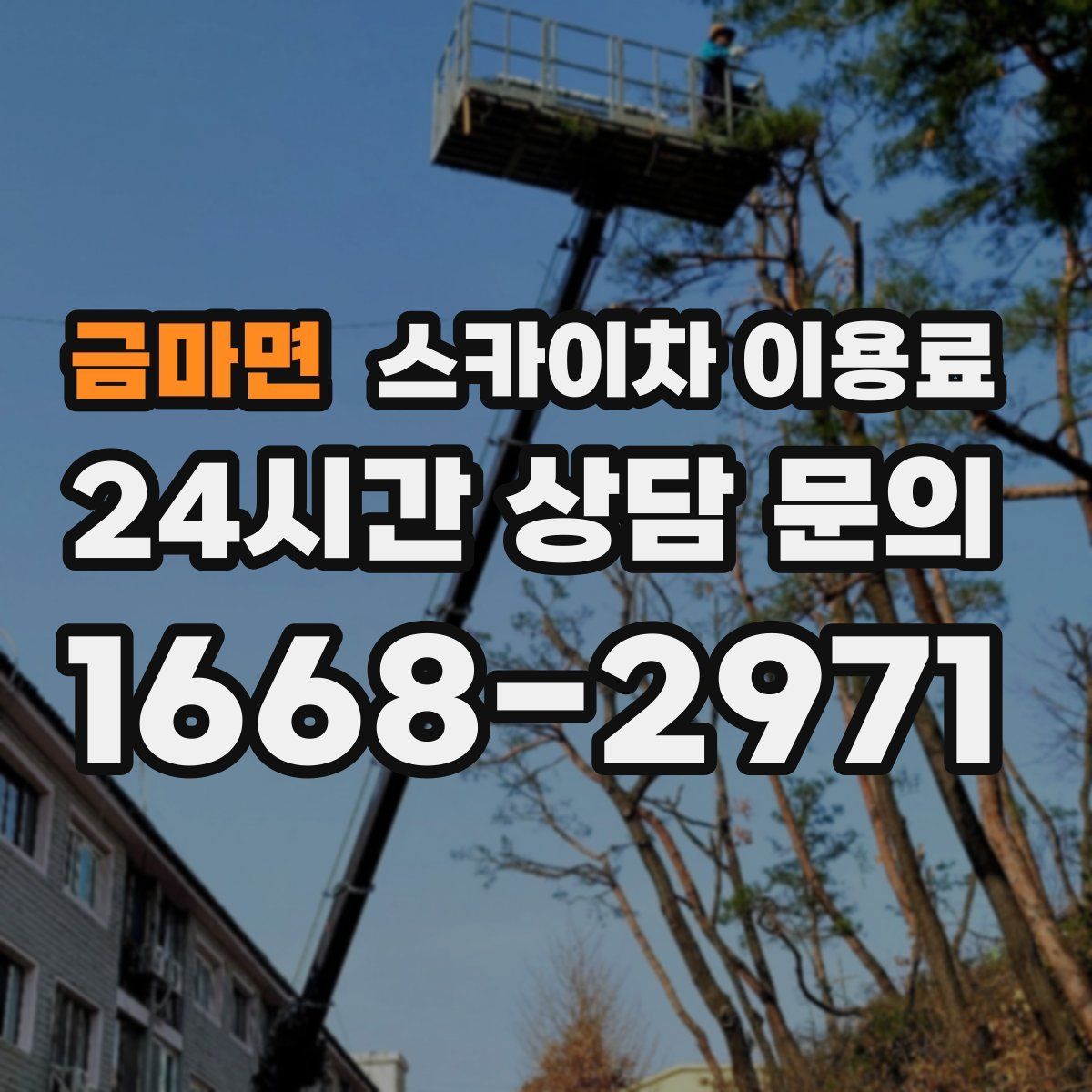 금마면 스카이차 이용료