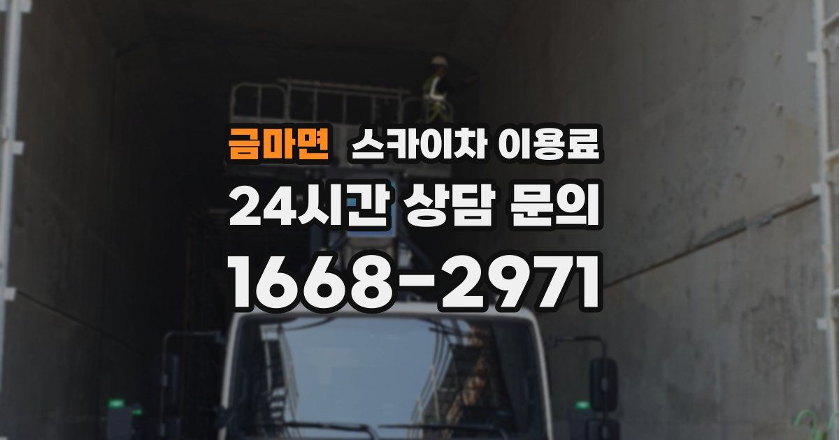 금마면 스카이차 이용료
