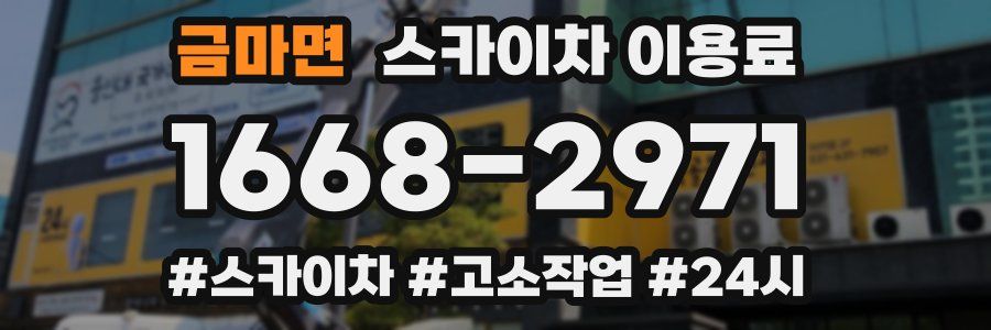 금마면 스카이차 이용료
