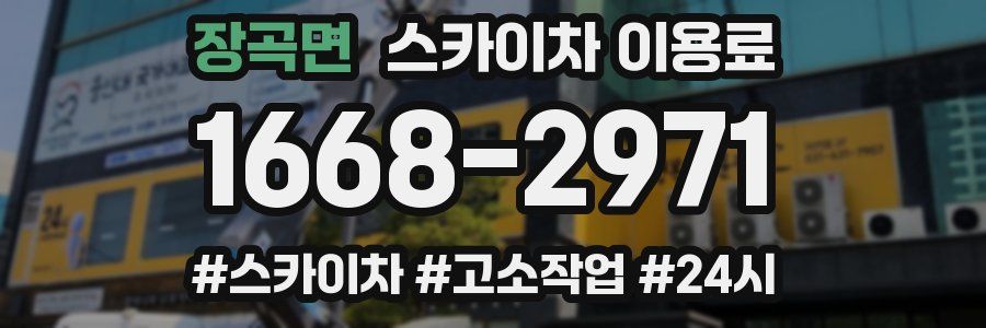 장곡면 스카이차 이용료
