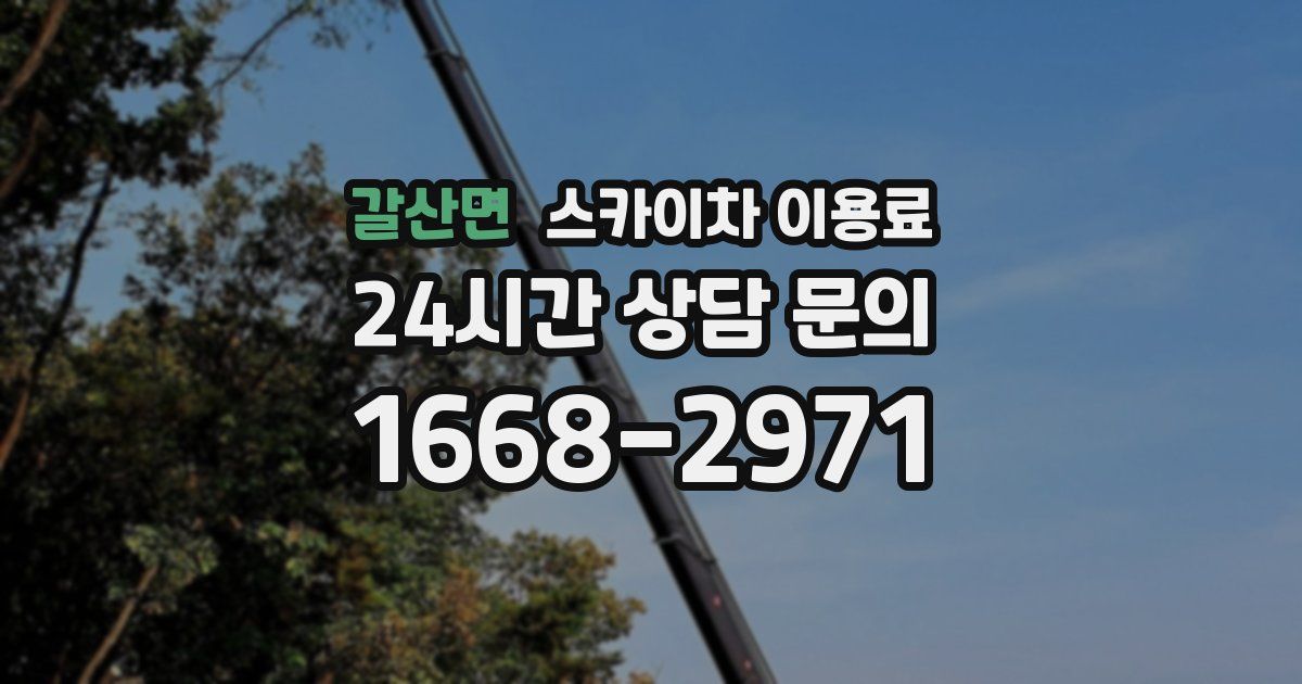 갈산면 스카이차 이용료