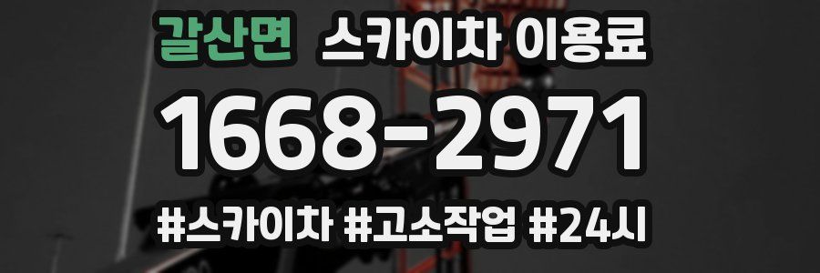 갈산면 스카이차 이용료