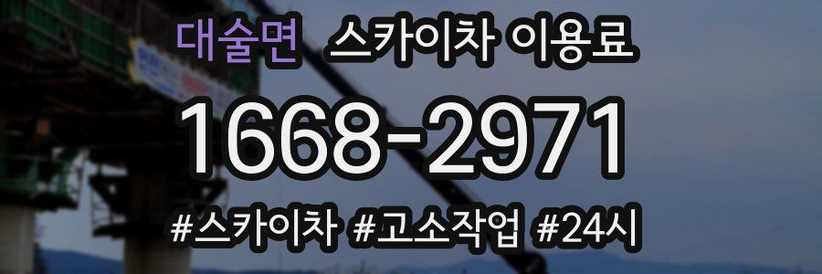 대술면 스카이차 이용료