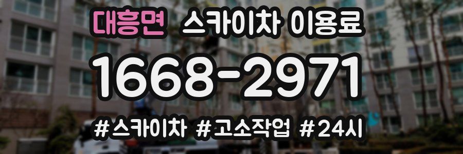 대흥면 스카이차 이용료
