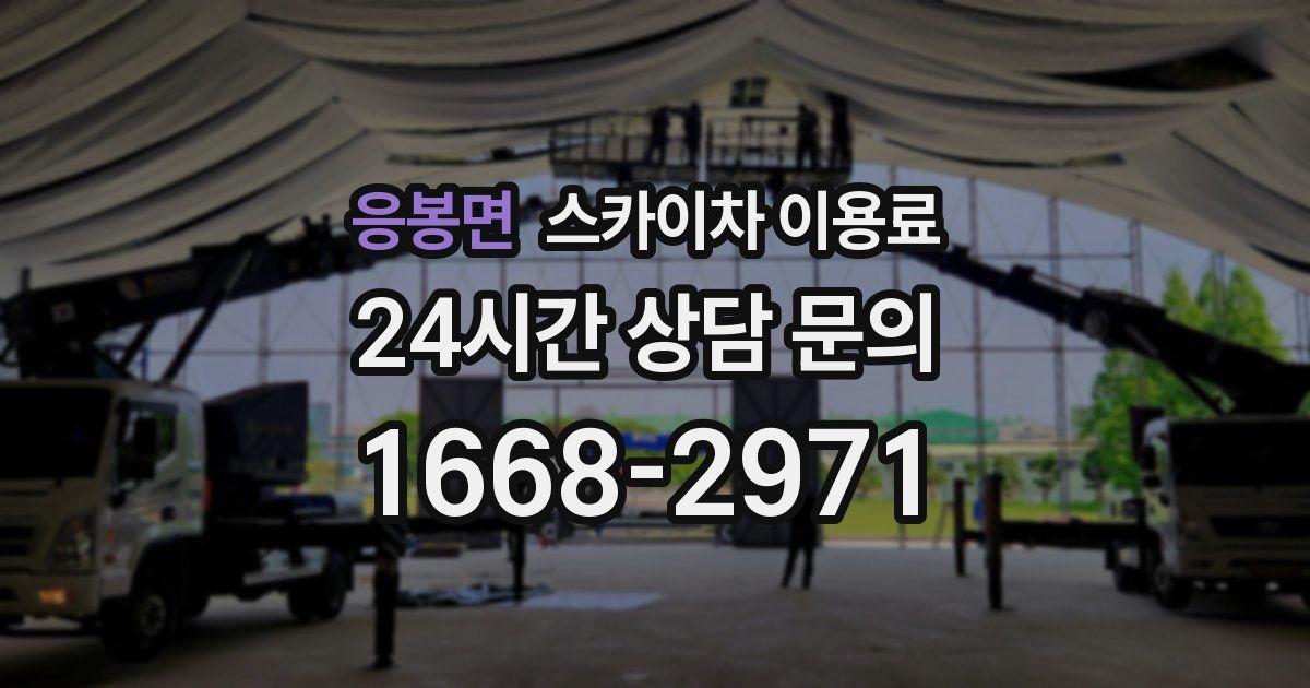 응봉면 스카이차 이용료