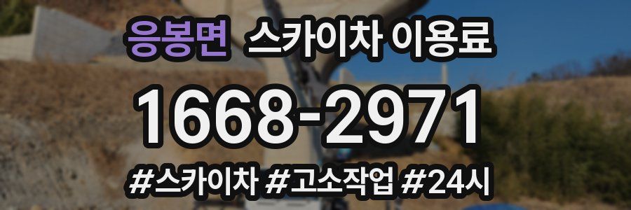 응봉면 스카이차 이용료