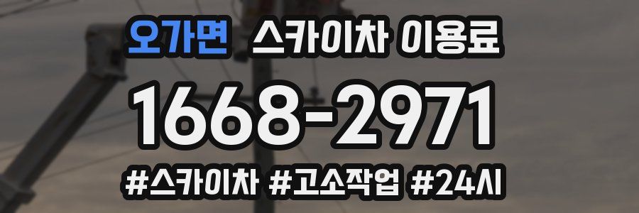 오가면 스카이차 이용료