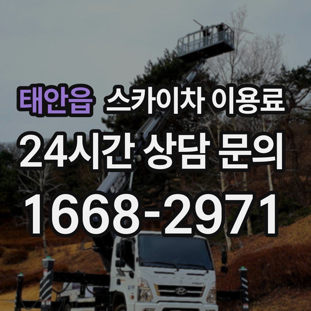 태안읍 스카이차 이용료