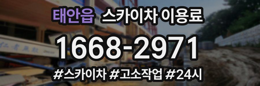 태안읍 스카이차 이용료