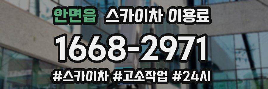 안면읍 스카이차 이용료