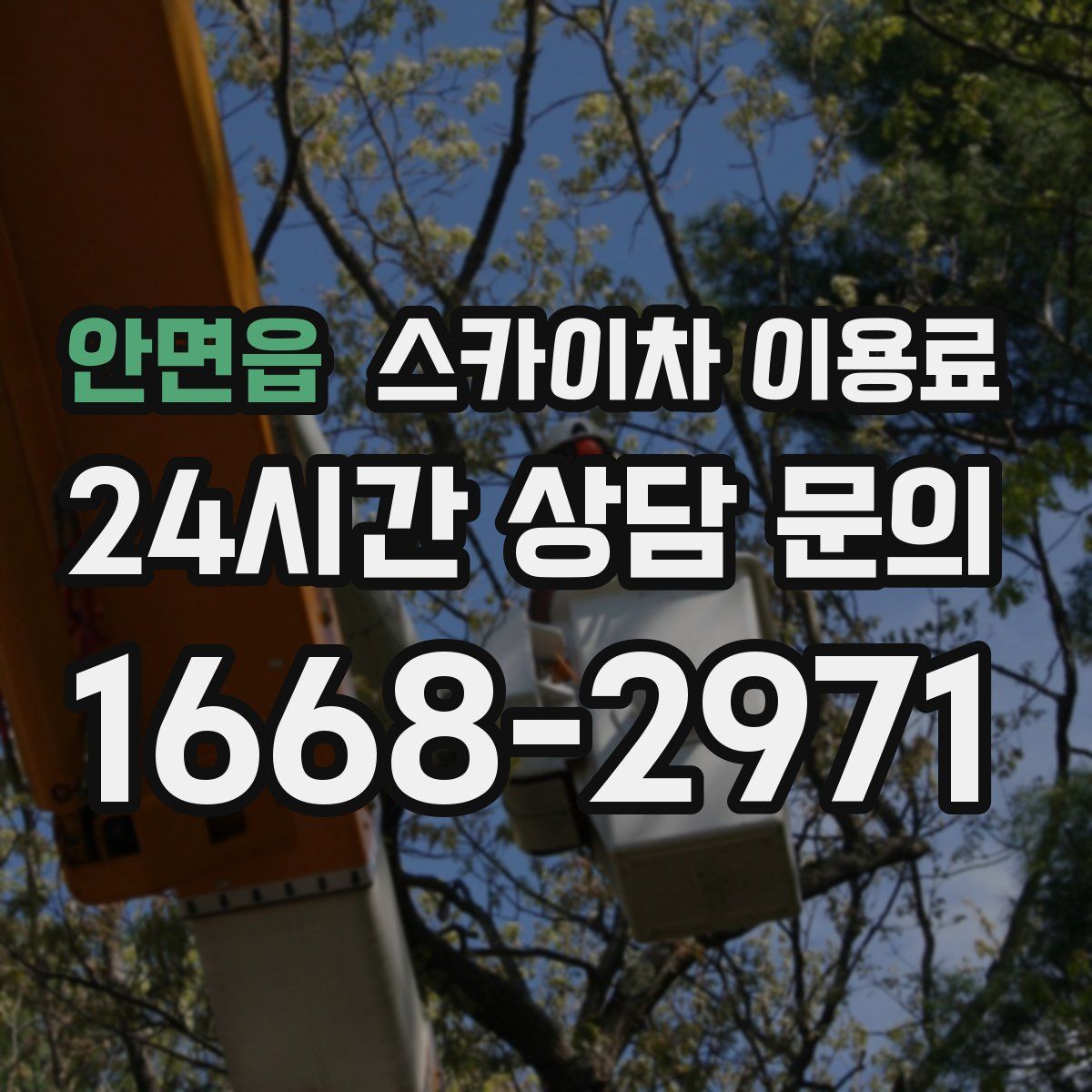 안면읍 스카이차 이용료