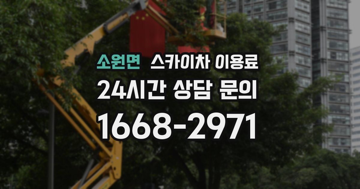 소원면 스카이차 이용료