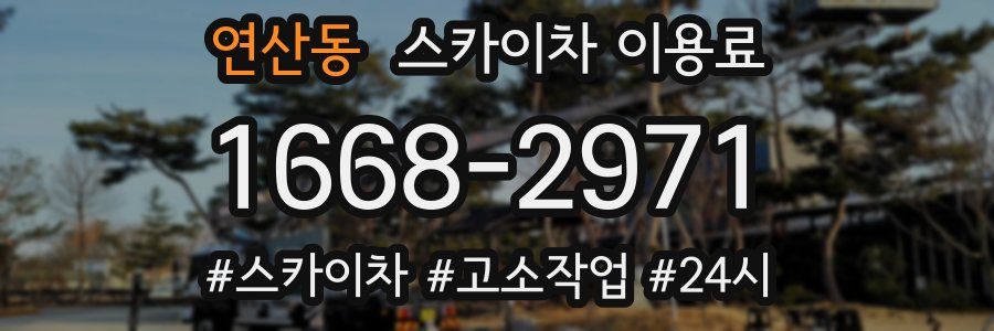 연산동 스카이차 이용료