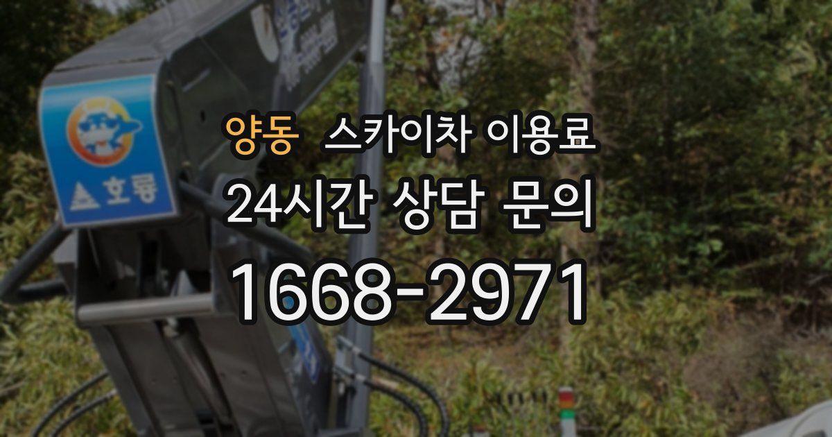 양동 스카이차 이용료