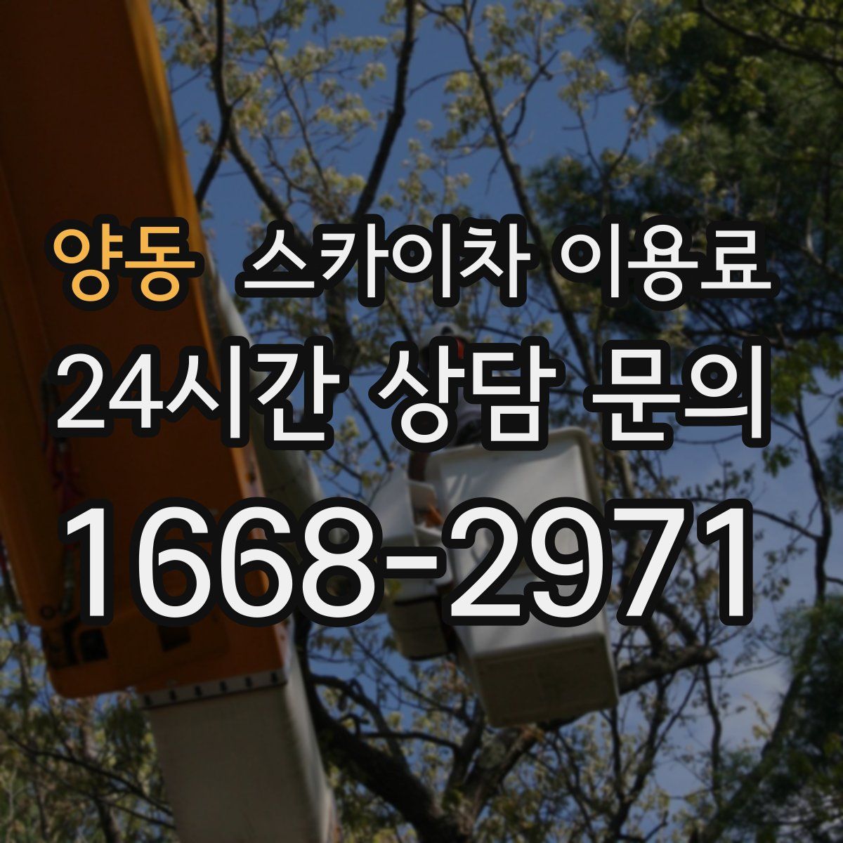 양동 스카이차 이용료