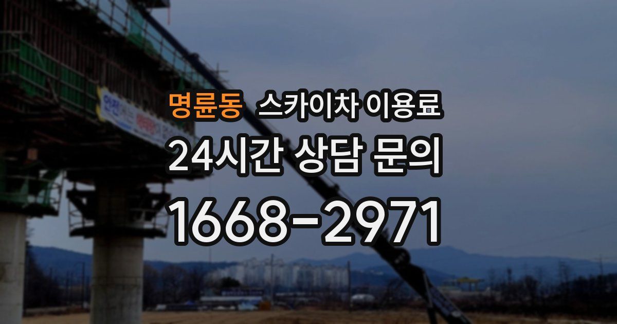 명륜동 스카이차 이용료