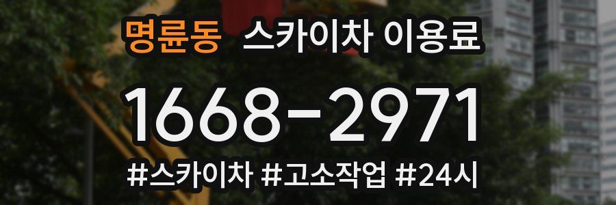 명륜동 스카이차 이용료
