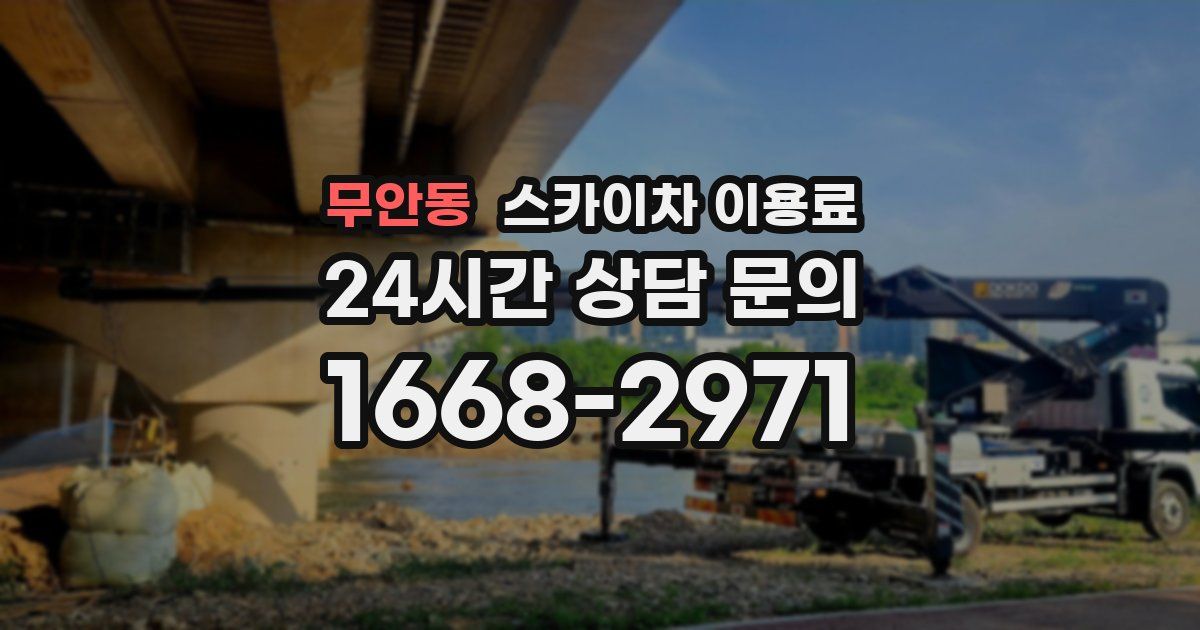 무안동 스카이차 이용료