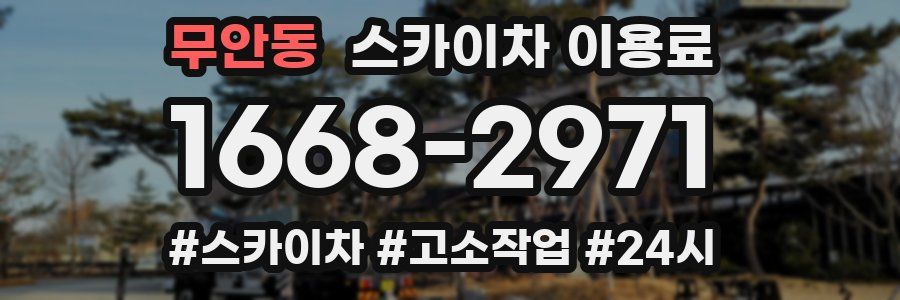 무안동 스카이차 이용료