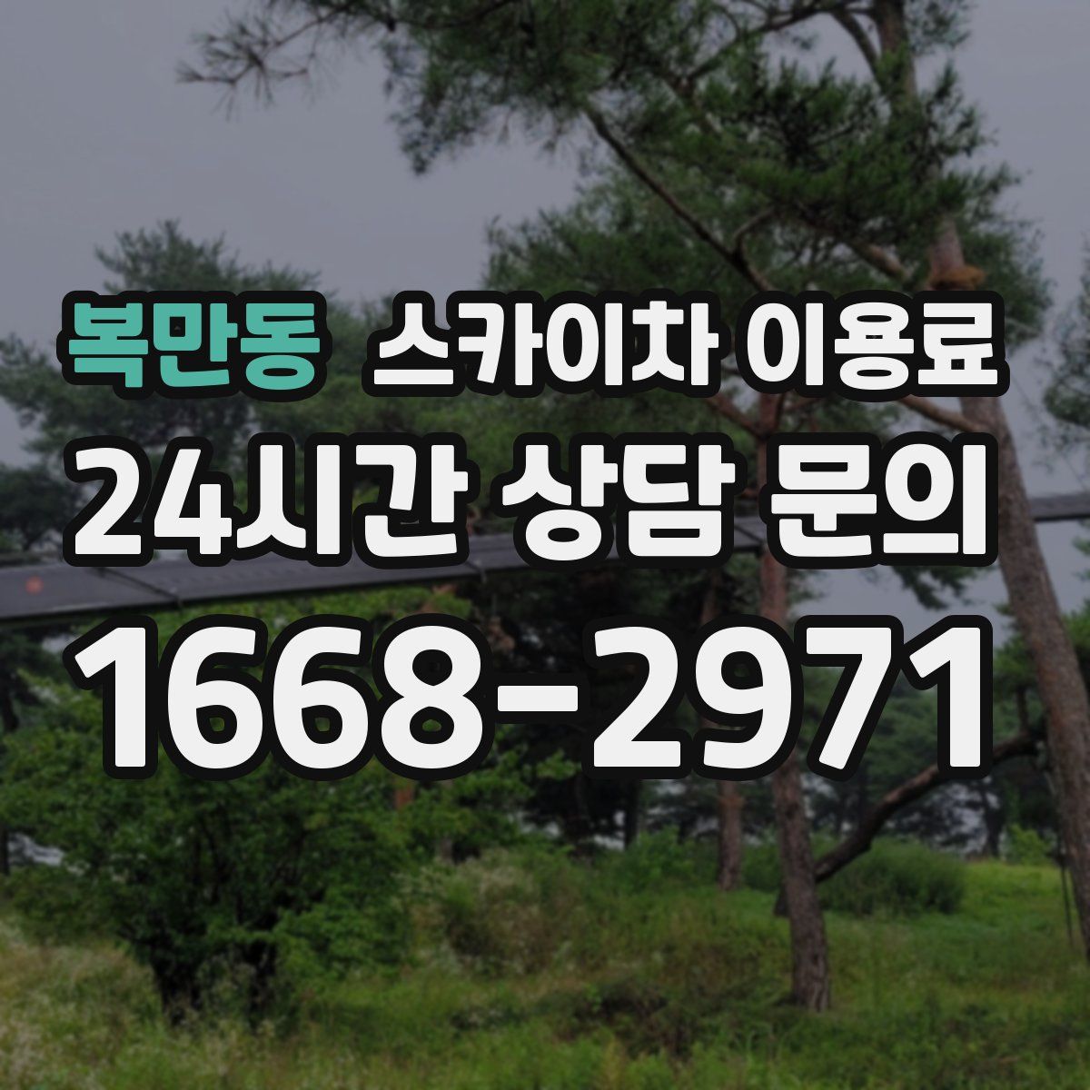 복만동 스카이차 이용료